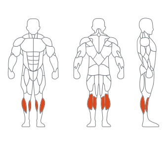 LS-097站式小腿训练器